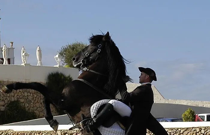 Son Granot Rural 4* 埃斯卡斯特利